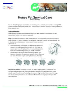 house-pet-survival-care-things-to-know