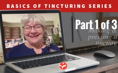 Basics of Tincturing – Part 1 (Video Class)