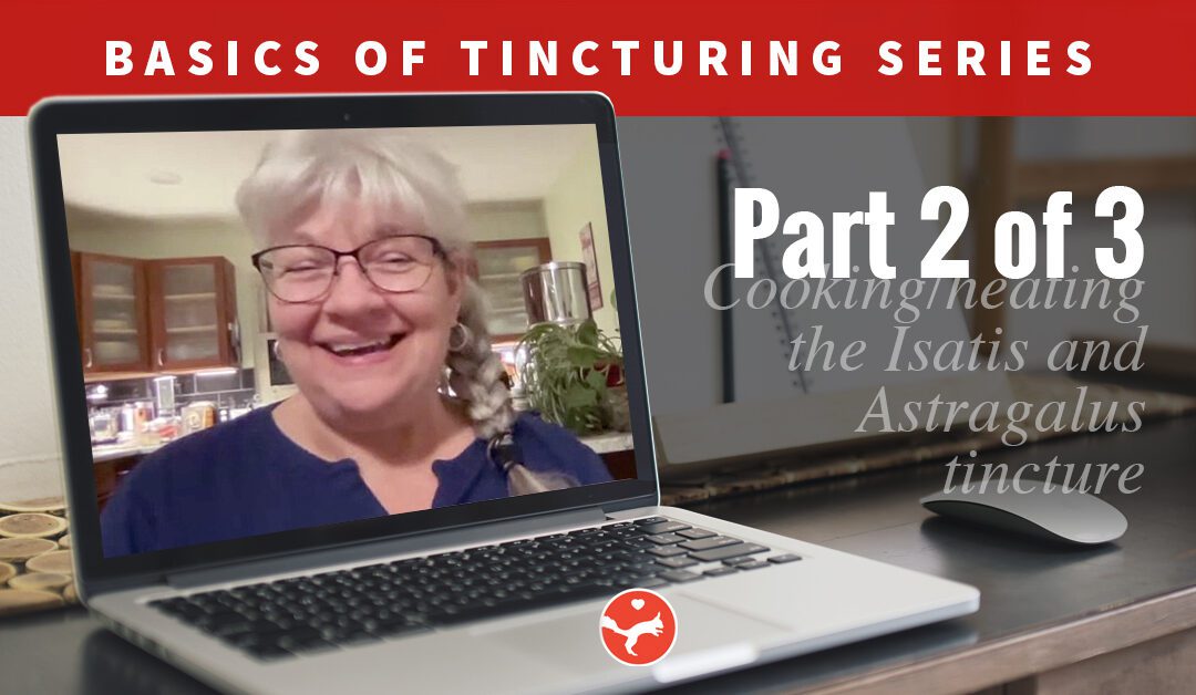 Basics of Tincturing – Part 2 (Video Class)
