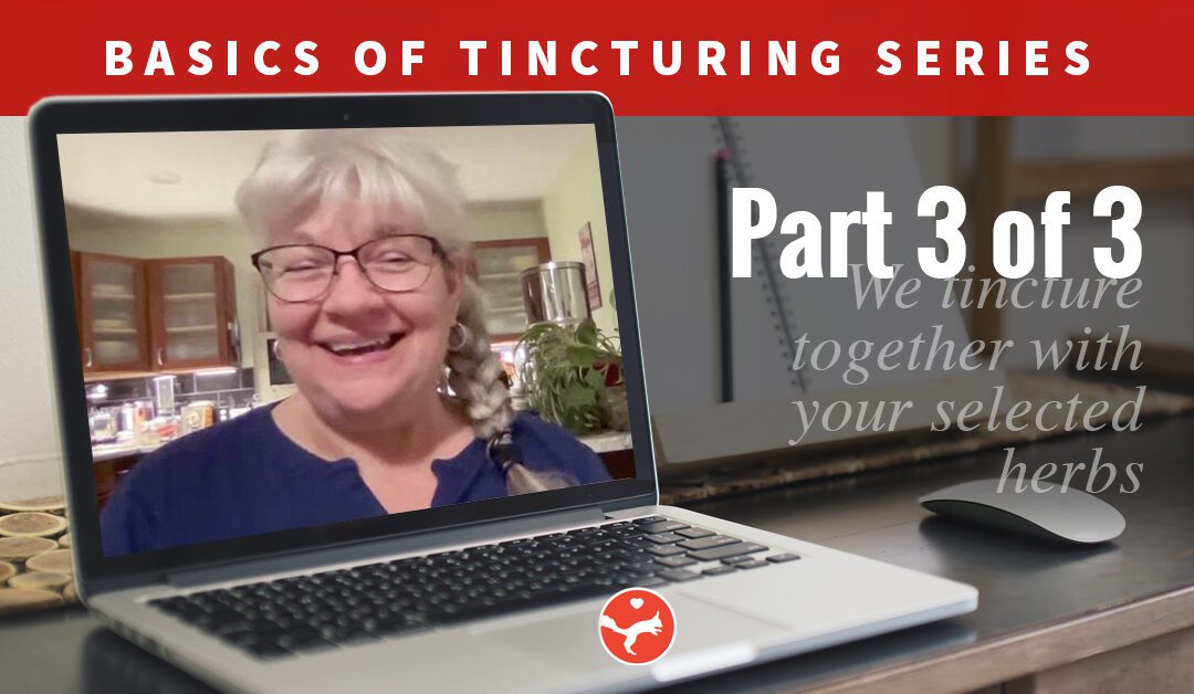 Basics of Tincturing – Part 3 (Video Class)
