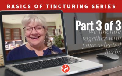 Basics of Tincturing – Part 3 (Video Class)