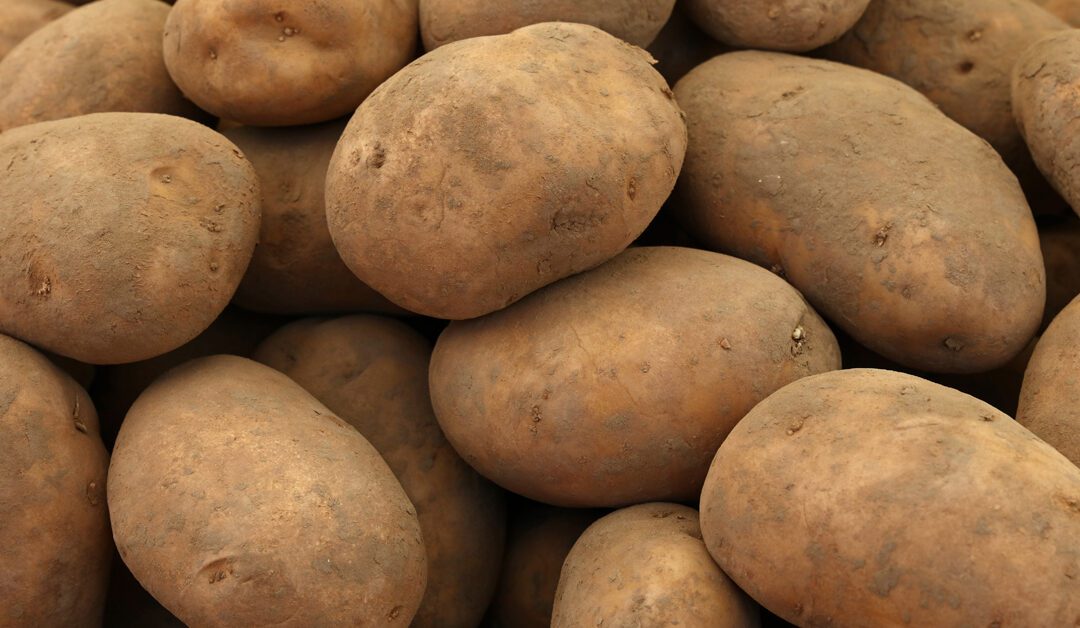 Answers to Potato Questions