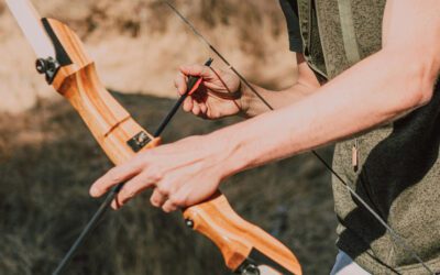 Beginners Guide to Bow Hunting