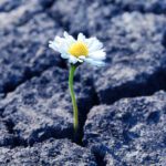 Resilience for Tumultuous Times 